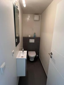 a small bathroom with a toilet and a sink at rooms train station in Luxembourg
