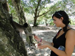 a woman is looking at a monkey in a tree at Grand Selva Lodge & Tours in Tena +32 photos