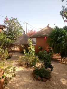 a garden with a couple of huts and plants at Campement Baobab in Poponguine