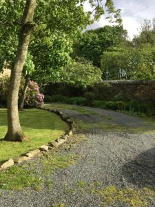 a garden with a tree and a gravel road at Nether Dallachy Farmhouse in Banff