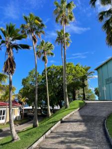 a road with palm trees on the side at Diamond Paradise in Le Diamant