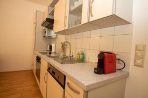 Kuchyňa alebo kuchynka v ubytovaní Appartements in Graz beim LKH