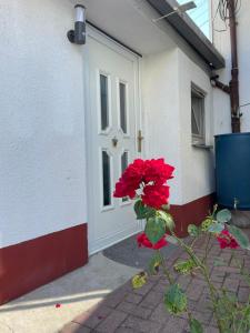 una flor roja delante de una puerta blanca en Ostermanns Apartment, en Bretten