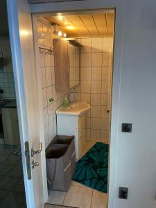 La petite salle de bains est pourvue d'un lavabo et d'un miroir. dans l'établissement Ostermanns Apartment, à Bretten