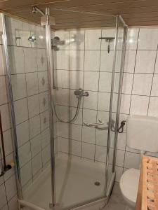 a shower with a glass door in a bathroom at Ostermanns Apartment in Bretten