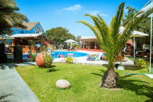 eine Palme im Gras neben einem Pool in der Unterkunft Hotel El Condor in Paracas