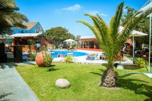 a palm tree in the grass next to a swimming pool at Hotel El Condor in Paracas
