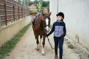 a young girl walking a horse down a dirt road at Ranchzimmer am Hippo-Campus Reit- und Therapiezentrum in Deutsch Haslau