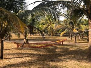 a hammock hanging between two palm trees on a beach at Grande maison en bordure de plage in Palmarin