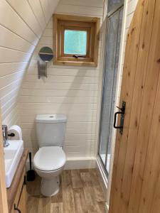 uma pequena casa de banho com WC e lavatório em Delor - Bryntalch Glamping Pods em Montgomery