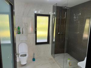 uma casa de banho com um WC e um chuveiro em Casa Rafael em Sighetu Marmaţiei