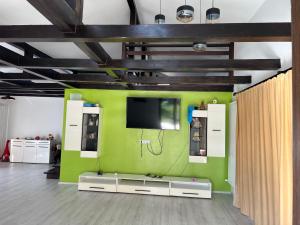 um quarto com uma parede verde com uma televisão em Casa Rafael em Sighetu Marmaţiei