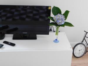 a flower in a vase on a desk with a tv at NiaAzoreanApartments2, aconchegante e confortável! in Horta