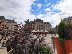 a city square with a large building and plants at Le cocoon Hyper centre Orleans proche Gare in Orléans