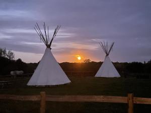 Východ nebo západ slunce při pohledu z luxury tent nebo okolí