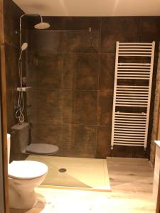 uma casa de banho com um WC e uma cabina de duche. em Le gîte de l'Ajon em Landes-sur-Ajon