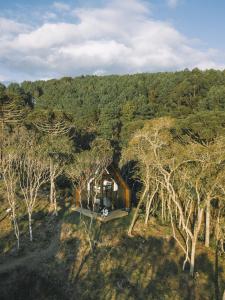 an overhead view of a cabin in the middle of a forest at Cabanas Cold Mountain in Urubici