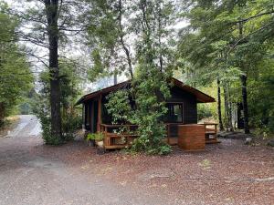 a cabin in the woods with a tree at Cabaña nueva en Pucón in Pucón