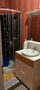 a bathroom with a shower and a white sink at Appartement duplex F2 tout confort proche centre ville avec parking gratuit in Montluçon