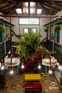 a room with a staircase with potted plants at HOTEL COLONIAL VILLA CARMELA in Tota