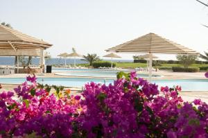The swimming pool at or close to Three Corners Equinox Beach Resort