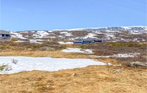 a house in the middle of a field with snow at 1 Bedroom Nice Home In Geilo in Geilo