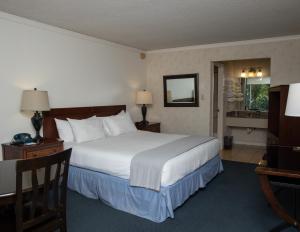 a hotel room with a large bed and a desk at The Occidental Lodge in Occidental