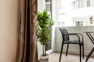Zdjęcie z galerii obiektu Idyllic and spacious apartment with parking - Center by REMS w Maladze