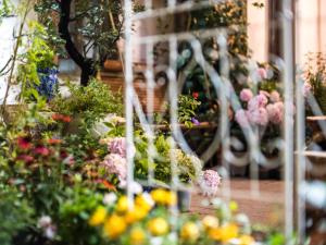 Κήπος έξω από το Tuo Tuo Guest House