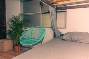 Gallery image of Chillout Hostel Barrio Escalante in San José