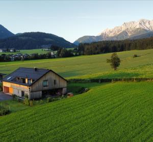 a barn in a field with mountains in the background at Appartement Hochsitz in Hochfilzen