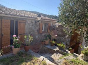 Κήπος έξω από το Maisonnette