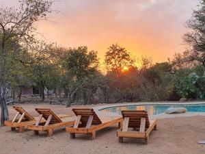 The swimming pool at or close to Masorini Bush Lodge