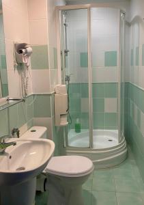 een badkamer met een douche, een toilet en een wastafel bij Elekt Czaplinek in Czaplinek