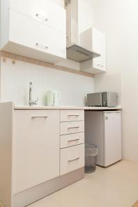 Kuchyň nebo kuchyňský kout v ubytování Apartment Stara vrata