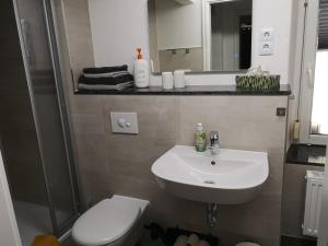 a bathroom with a sink and a toilet and a mirror at Apartment am Stadtturm in Freyburg
