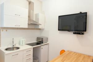 Kuchyň nebo kuchyňský kout v ubytování Apartment Stara vrata
