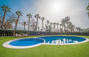 uma piscina num quintal com palmeiras em Apartamento de 3 dormitorios, 1º línea de playa en Marina d´Or em Oropesa del Mar