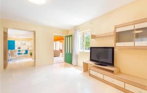 TV a/nebo společenská místnost v ubytování 4 Bedroom Gorgeous Home In Pican