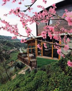 dom na wzgórzu z różowymi kwiatami w obiekcie MEKTA BUNGALOV w mieście Çamlıhemşin