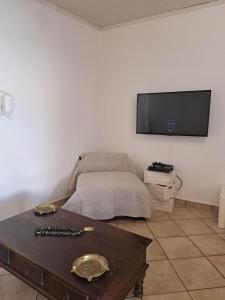 TV a/nebo společenská místnost v ubytování Prinilas manor