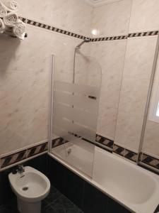a bathroom with a shower and a toilet and a sink at La Palmera Rooms in Alhaurín el Grande