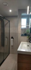 een badkamer met een douche, een wastafel en een spiegel bij Chambre cosy entre mer et montagne in Ascain