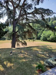 Vonkajšia záhrada v ubytovaní Chambres d'hôtes Le Moulin Juste Ambierle - Loire