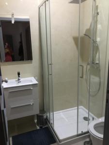 un bagno con doccia, lavandino e WC di Apartamento, Praça Dom Duarte 8, Viseu, Portugal a Viseu Altre 22 foto