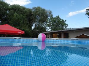 a swimming pool with a pink ball in the water at Village Jazz in Urtsʼadzor