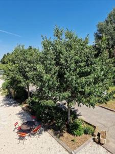 Photo de la galerie de l'établissement St Rèmy de Provence, La Maison du Berger, à Saint-Andiol