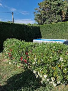 Photo de la galerie de l'établissement St Rèmy de Provence, La Maison du Berger, à Saint-Andiol 17 autres photos