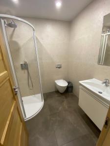 a bathroom with a shower and a toilet and a sink at Apartment Pusynas in Nida +15 photos