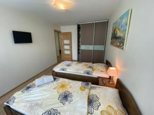 a bedroom with two beds and a television in it at Apartment Pusynas in Nida